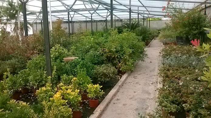 Vivero en San Sebastián de los Reyes